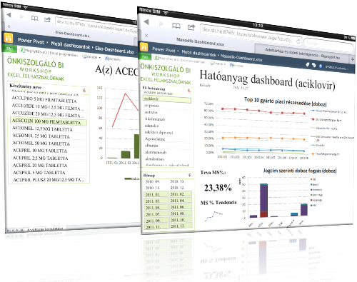 Excel (PowerPivot) dashboard iPad-on