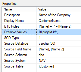 Üzleti metaadatok az adattárház oszlopainak tulajdonságaiban